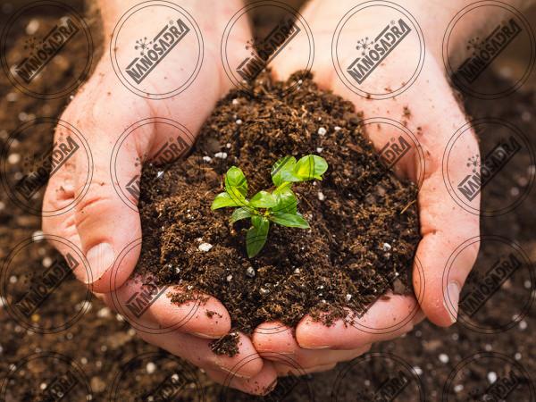 Most important ingredients of nano fertilizers 