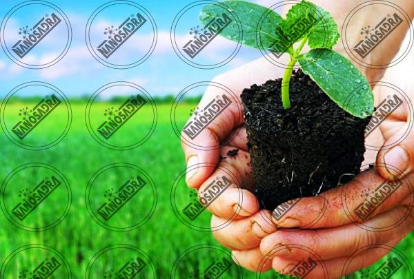 How to produce nano fertilizers in factories? 