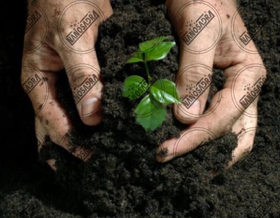 Best bio fertilizer brands on global market 