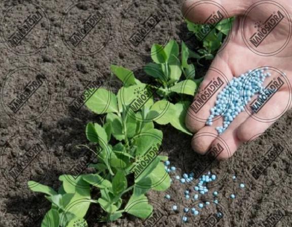 Is it profitable to produce and sell bio fertilizers? 